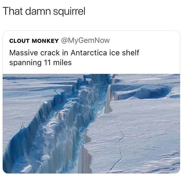 Im gonna kill that damn squirrel