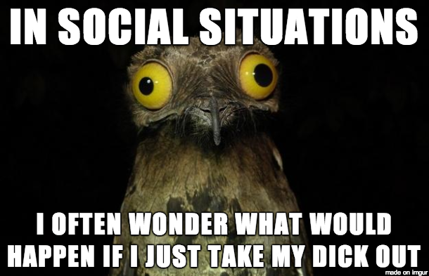 Im just always so curious