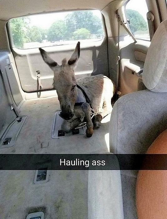 Im Late For Work