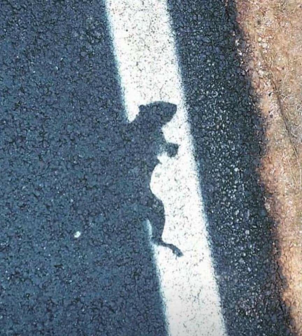 Im no detective but