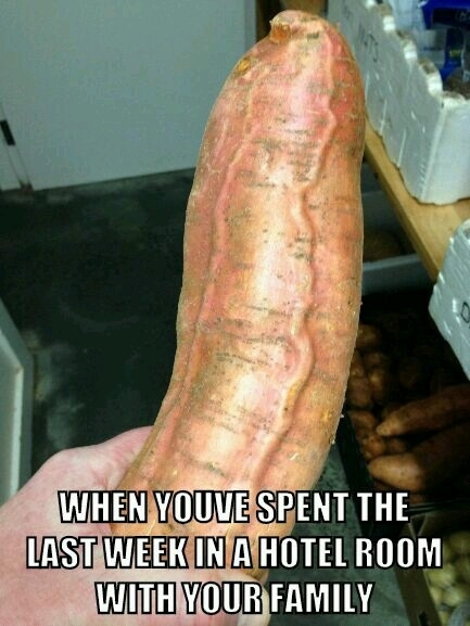 Im no farmer but Id say its fully grown