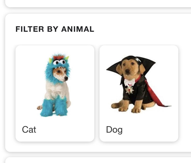 Im no vetbut that cat is a dog