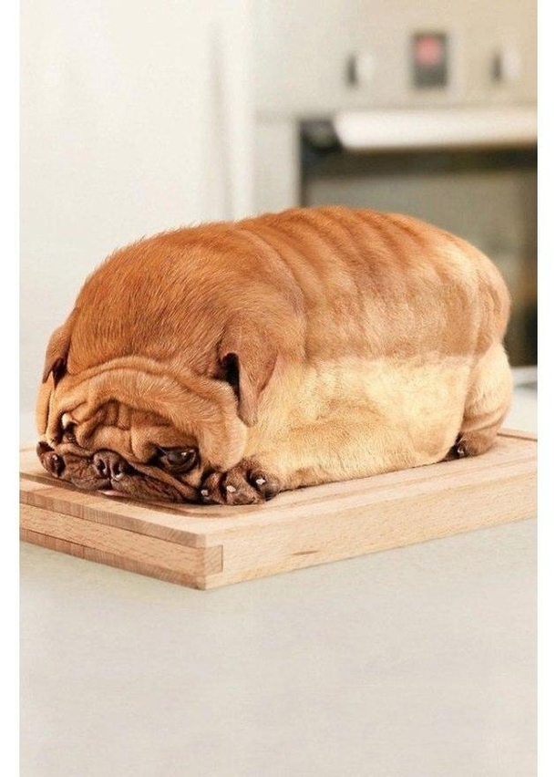 Im not a bread