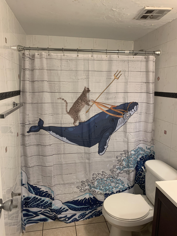 Im not allowed to decoratecant wait to see the fiancs reaction