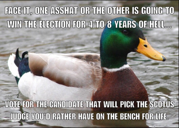 Im not voting for one candidate because they are worthy theyre not but because they still have an important job to do that can affect us for many years after theyre out of office