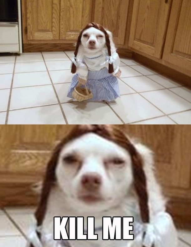 Im off to see the wizard
