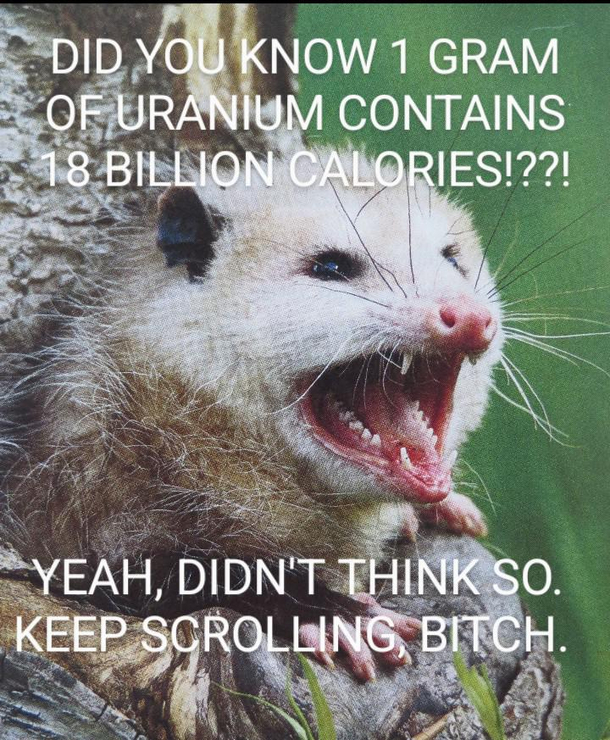 Im old and bad at this