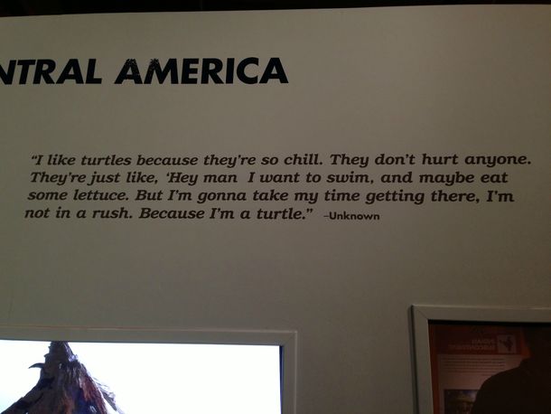 Im pretty sure Unknown was smoking the peace pipe before quoting this seen at a turtle exhibit at the Mississippi aquarium