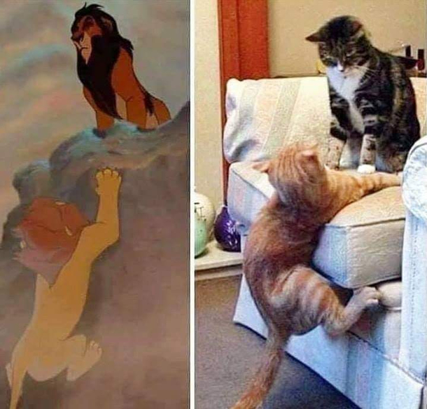 IM SCAR