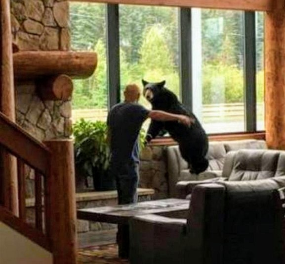 Im serious Mr Bear you have to leave NOW