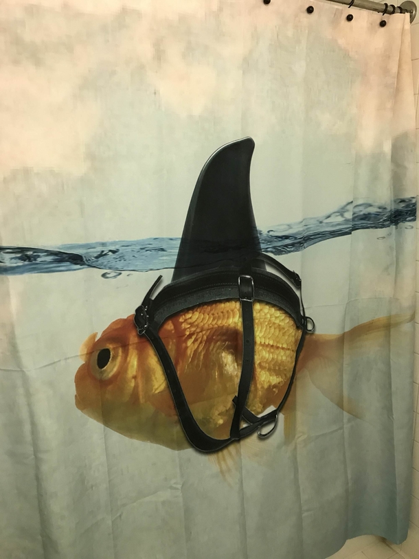 Im single and  and no one can stop me from picking my own shower curtain too
