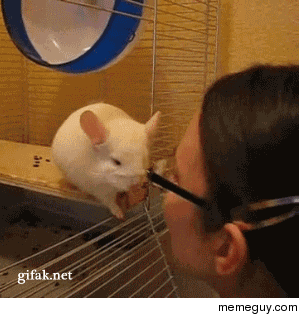 Im sorry Im just really nervous because I like you