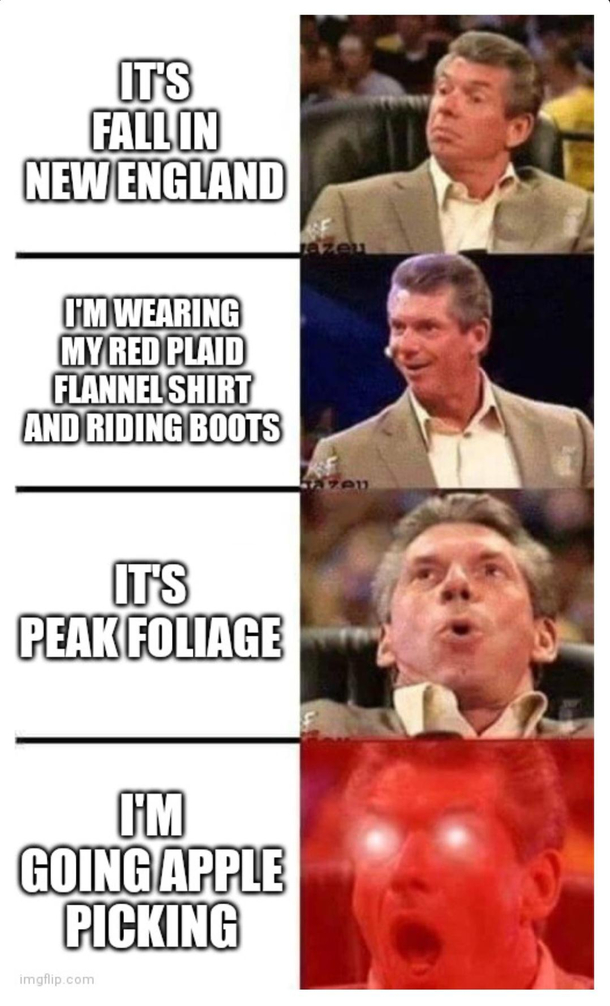Im such a basic bitch