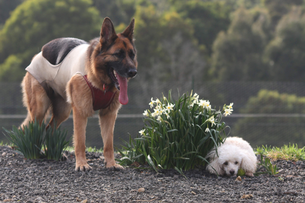 Im sure my tennis ball landed here somewhere