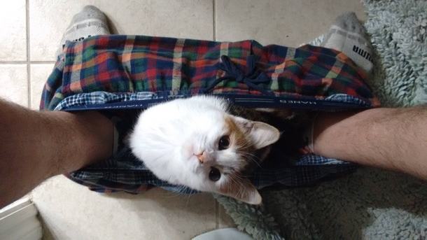 Im taking a shit What are you doing