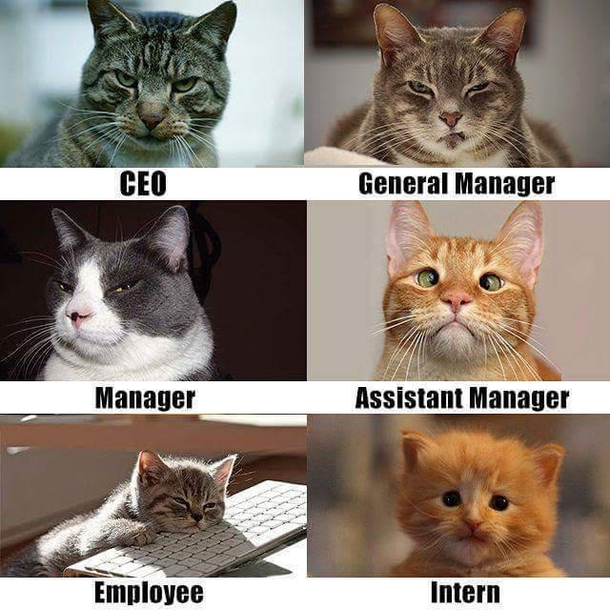 Im the employee which one are you