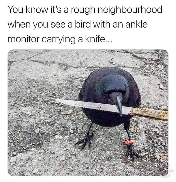 Im thinking Edgar Allens neighborhood