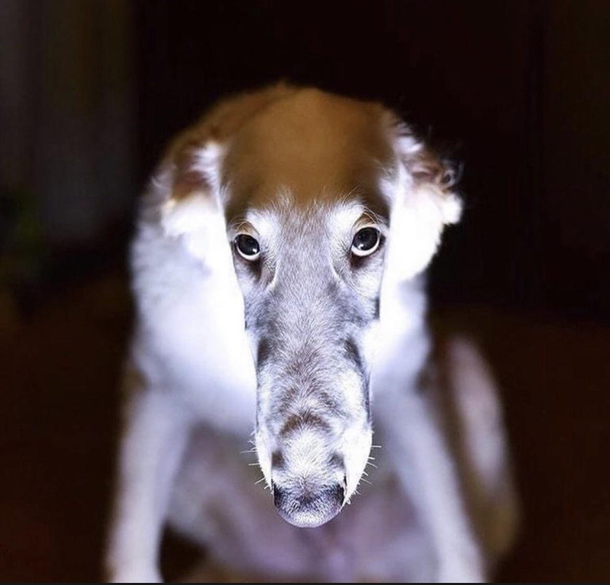 im watching you -