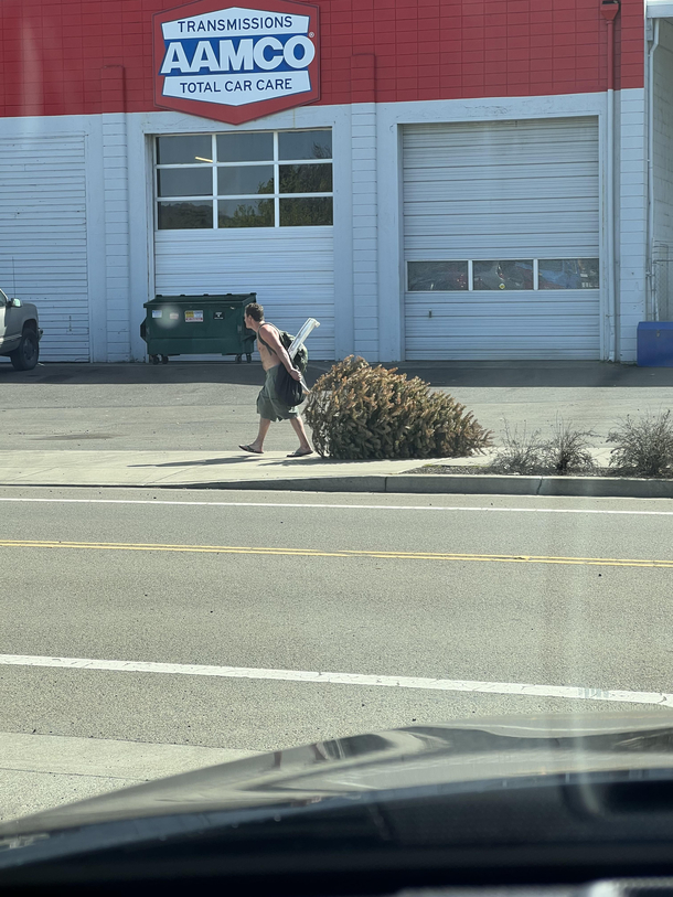 Im wondering what his plans are for this tree