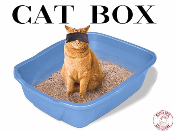Im writing the sequel to bird box