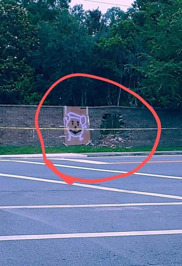 Imagine Seeing This While Driving