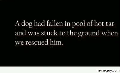 Imgur user made this gif A dog rescued from a tar pit