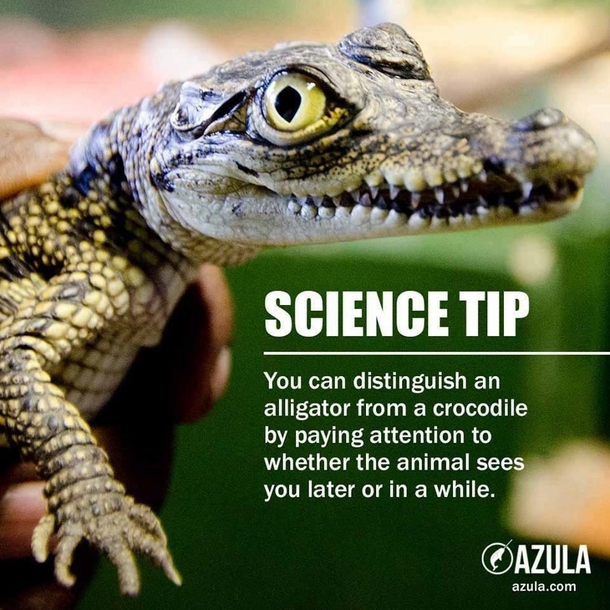 Important science tip
