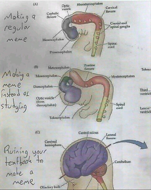 Improvise Adapt Overcome