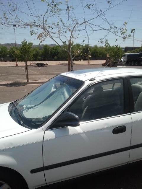 In Arizona got lucky and got the super shady spot on the parking lot