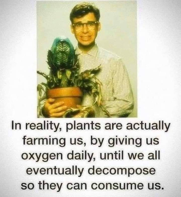 In case of plants consuming vegans will it be termed a case of cannibalism