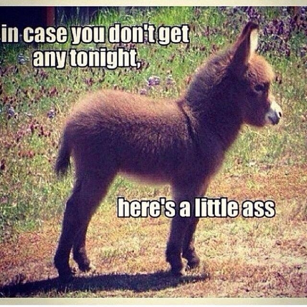 In case you dont get any tonight