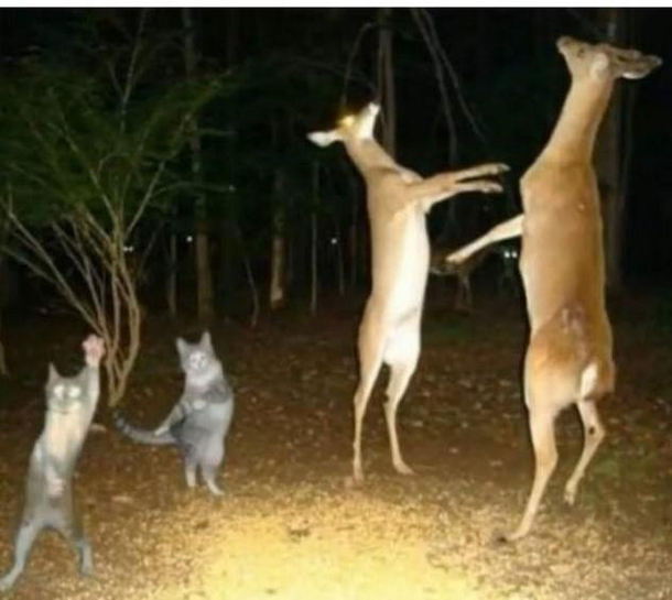 in da club