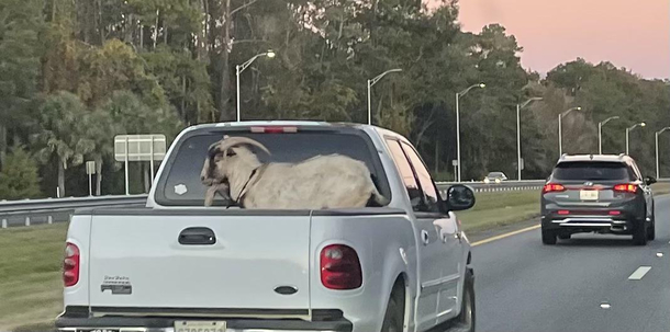 In Florida Today