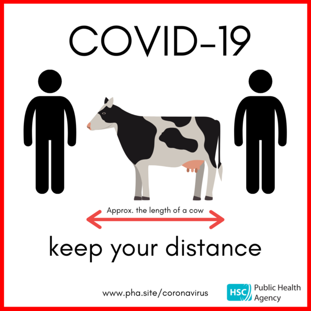 In Ireland we use the Bovine scale to socially distance