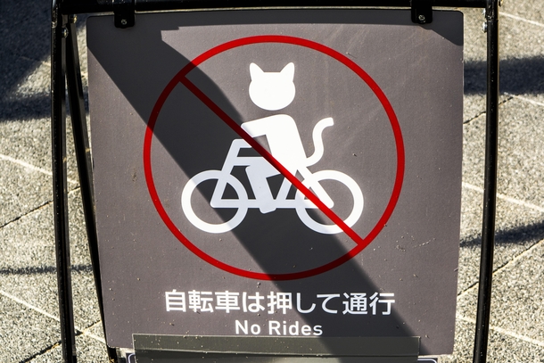 In Japan cats cant ride bikes