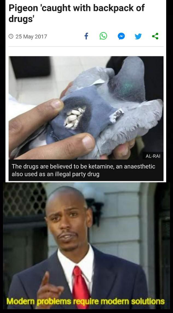 In quarantine news is new entertainment site