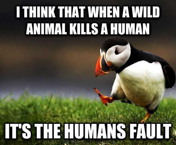 In response to Australians culling sharks after  deadly shark attacks in  We invaded the animals territory not vice versa