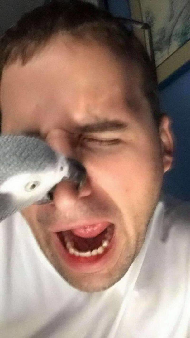 In the nose