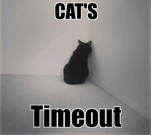 In Trouble Again