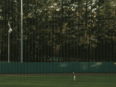 Incredible Diving Catch