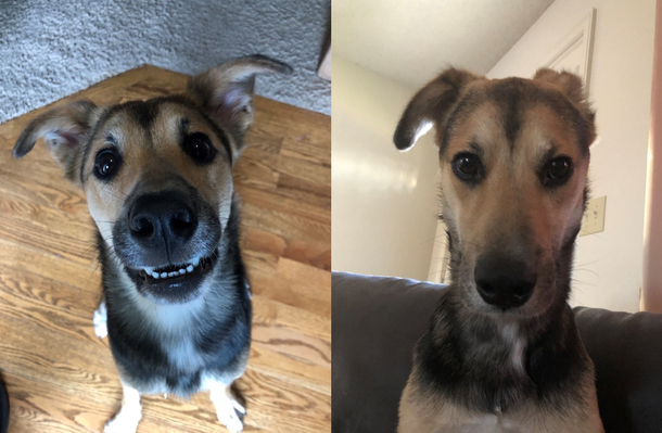 Instagram vs reality
