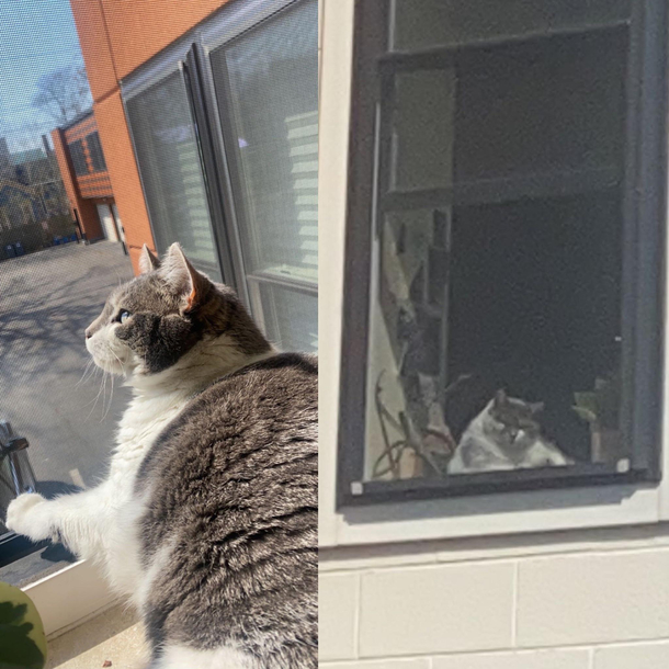 Instagram vs reality