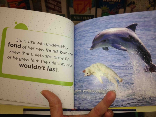 Instant Reddit romance classic Wife saw it and said it belongs here