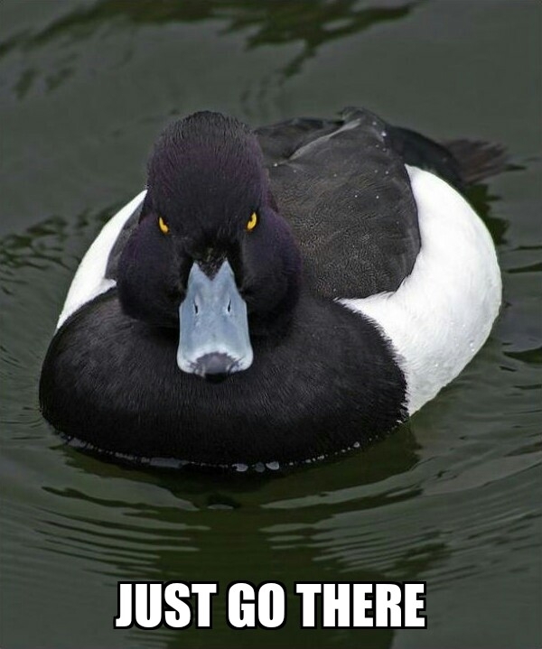 Instead of complaining to the cashier that an item is cheaper over there