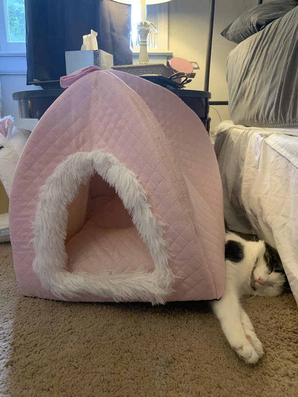 Instructions not clear bed may be broken