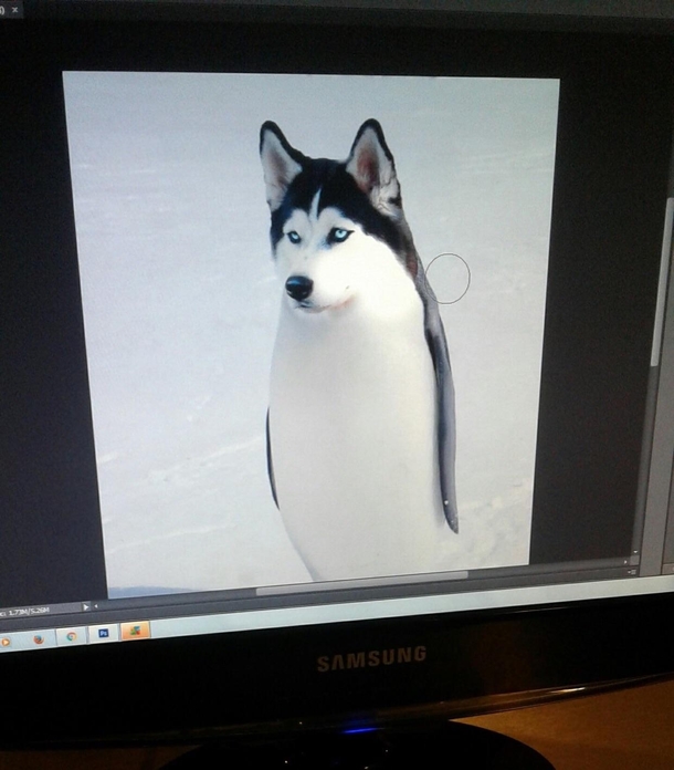 Instructor asks us to photoshop anything Me