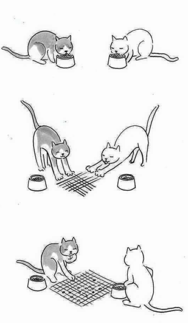 intelligent Meow