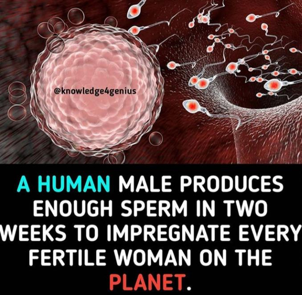 Interesting 