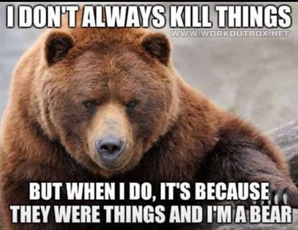 Interesting Bear