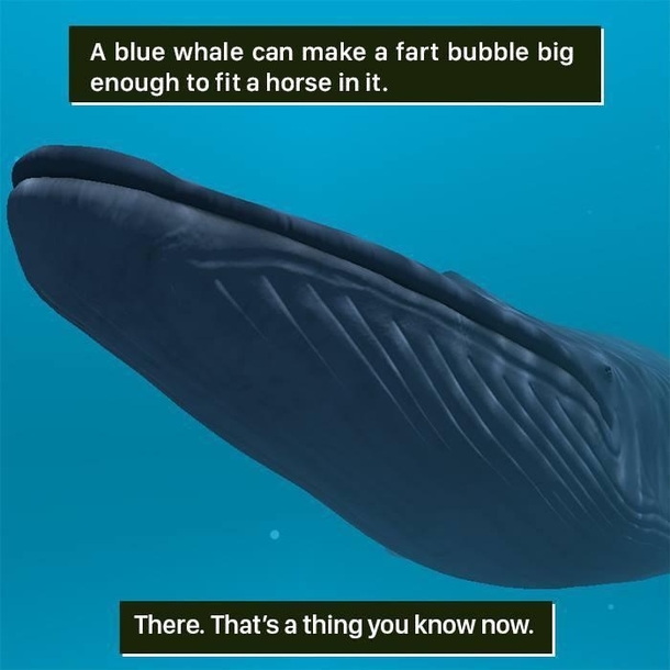 Interesting fact 